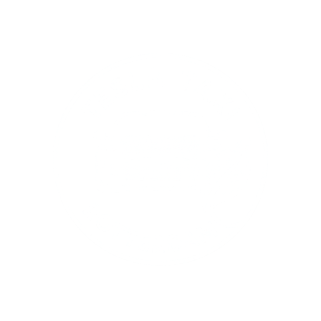 teslataxirotterdam.nl logo